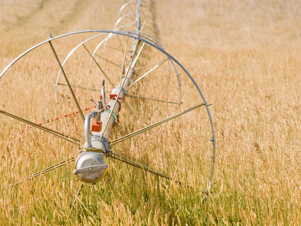 An irrigation system in a golden agriculture field